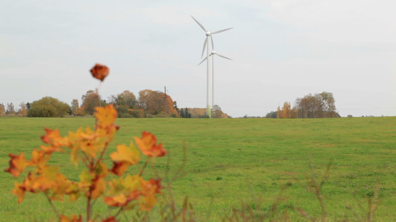 две ветряные турбины в поле