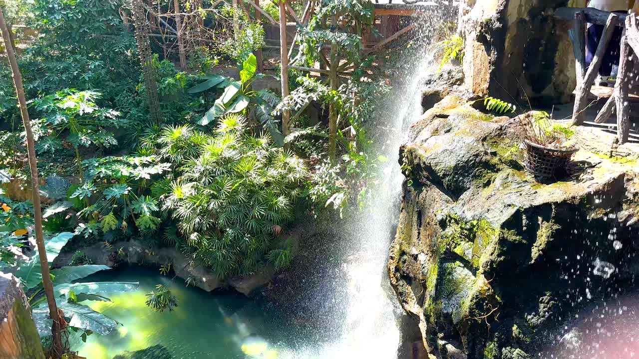 cascada en cascada en un entorno exuberante y tropical