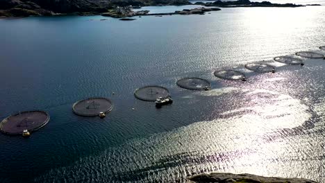 imágenes aéreas de granjas de pesca de salmón en noruega