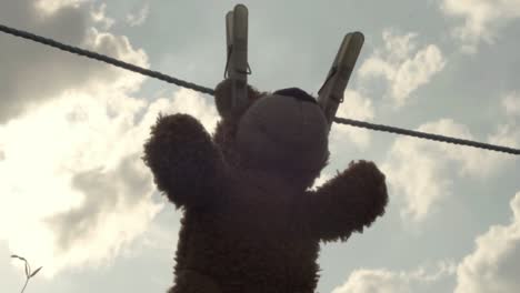 teddy bear hangs on the washing line to dry