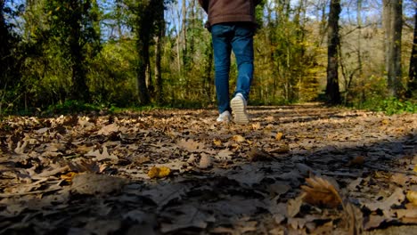 el hombre que camina otoño
