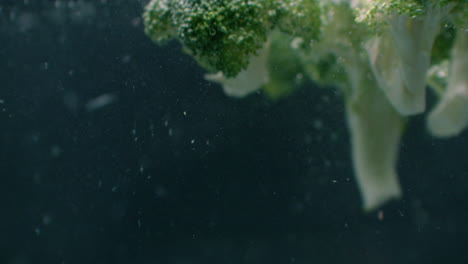 green fresh broccoli washed in clear water before cooking slow motion