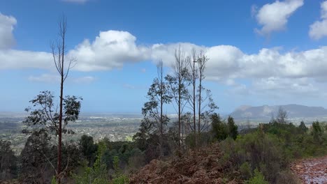 views from cecilia forest in constantia cape town