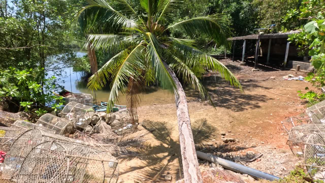 Crab traps, coconut palm, and fishing equipment on a sunlit tropical riverbank in Phuket, Thailand