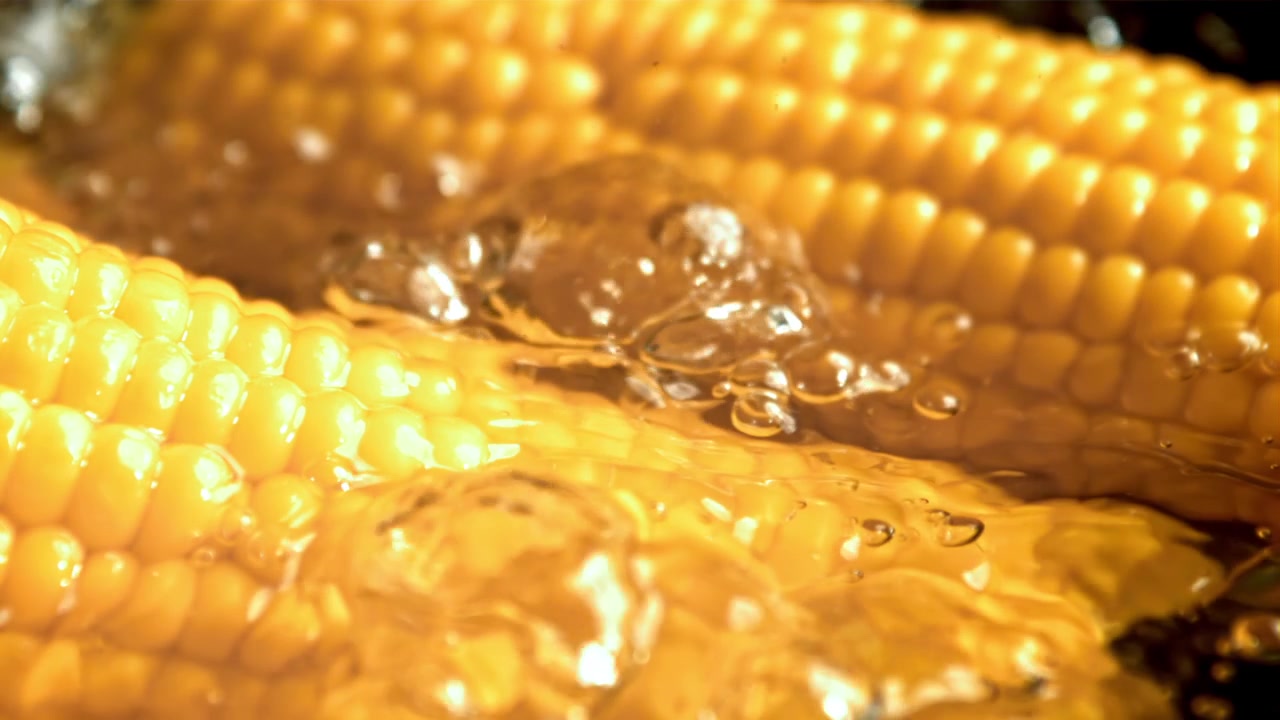Pannocchie di mais fresche che cuociono in acqua bollente