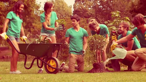 Happy-group-of-volunteers-gardening-in-the-park