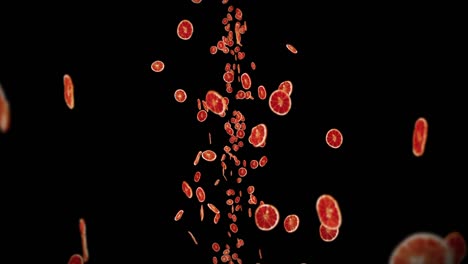 flying many dried oranges on black background. dehydrated fruits, food concept. 3d animation of sliced fruits oranges rotating. loop animation.