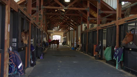 inside a large horse stable