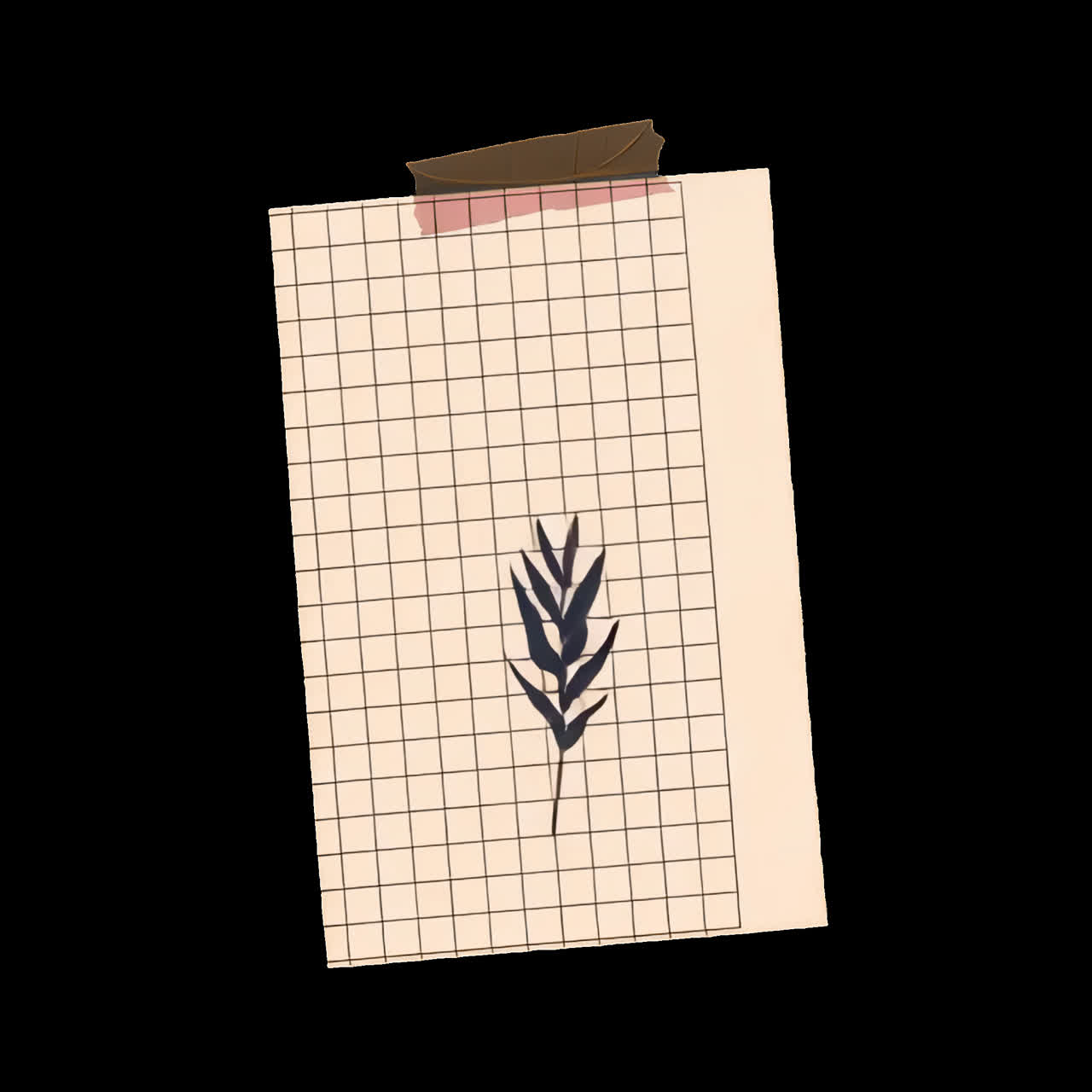Minimalist botanical grid design animation isolated asset, transparent 4K video, alpha channel