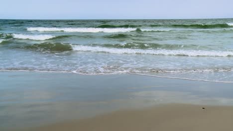 sea waves of blackwater national wildlife refuge in maryland, usa