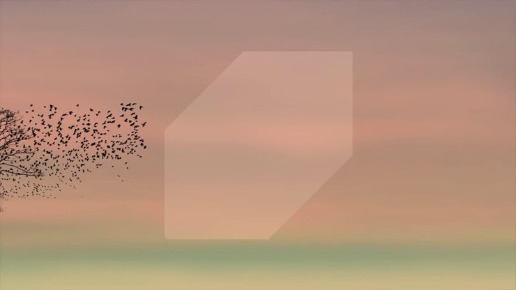 Solitude Sunset