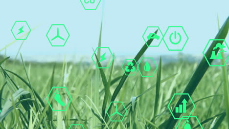 hexagonal green icons floating over meadow showing renewable energy symbols in animated flat design