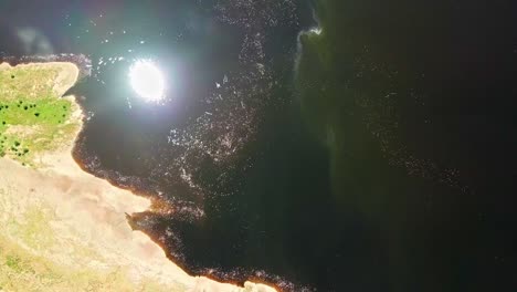 bright sunlight reflected on the water with flying birds in lake magadi, kenya, east africa. aerial topdown