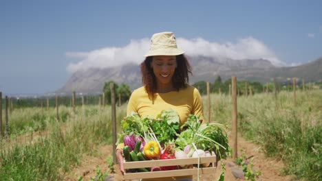 organic produce