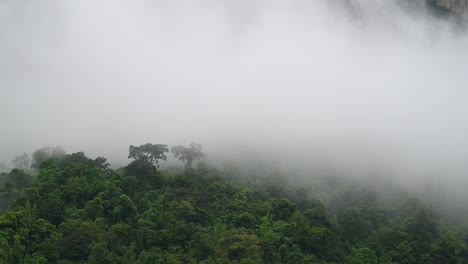 fog moving slowly to the left covering a jungle as seen from above in sai yok very near the border of myanmar, kanchanaburi, thailand