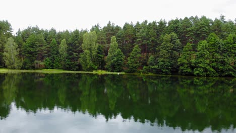 beautiful reflections of coniferous trees on the calm lake in pradzonka, gmina studzienice, poland