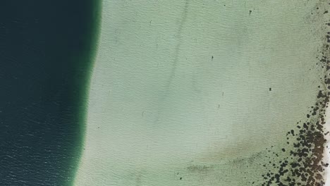 aerial view of mysterious water separation between salt and sweet water in the ocean fjord in norway with the water course separated by dark blue and white sand beach