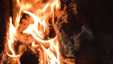 burning firewood with rough surface and bright blaze