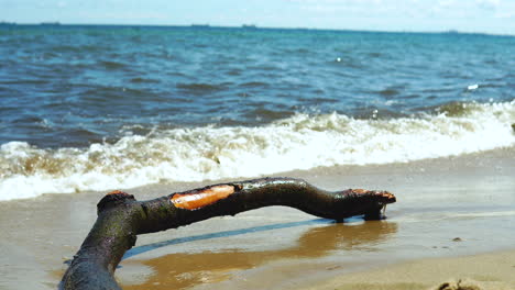 Ein-Einzelner-Ast-Liegt-Am-Meeresufer,-Das-Wasser-Wäscht-Den-Baum-An-Einem-Sandstrand