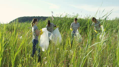 jóvenes voluntarios de raza mixta atentos, hombres y mujeres, cooperan mientras limpian el campo