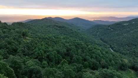 fast aerial push over treetops in appalachia near boone nc, north carolina