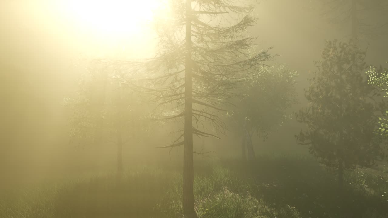 반 ⁇ 이는 마법의 숲