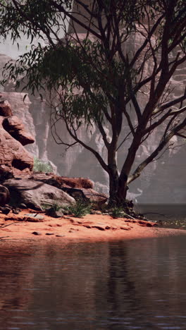 un paisaje sereno con un árbol solitario de pie junto a un lago en un cañón desértico