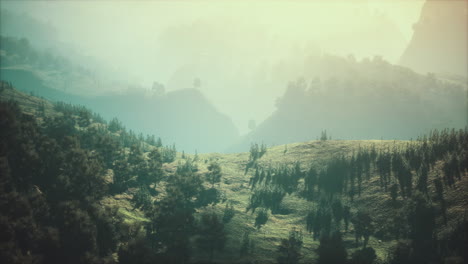 autumn-forest-on-green-rocky-hills