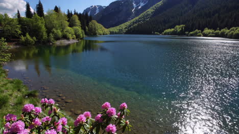 serene mountain lake with pink rhododendrons