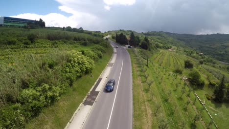 disparo de un avión no tripulado de un coche bajando la carretera a través de un viñedo en ambos lados