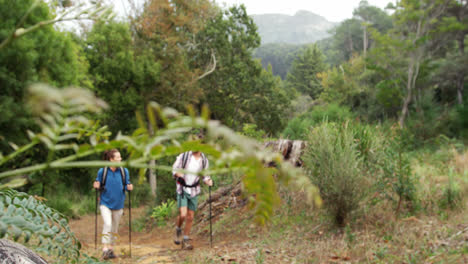 Pareja-De-Excursionistas-Caminando