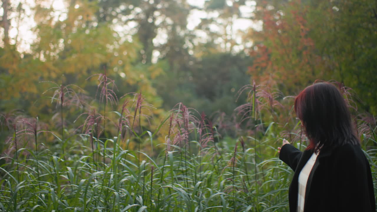 Side view of autumn walker gliding hand through purple reeds while walking along green park edge, black coat and striped sweater, calm focused gaze, soft daylight on leaves, serene outdoor mood