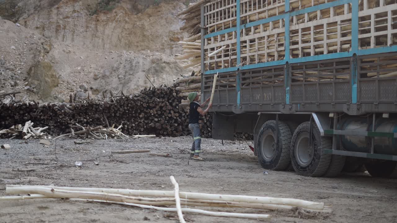 Truck Loading Logs