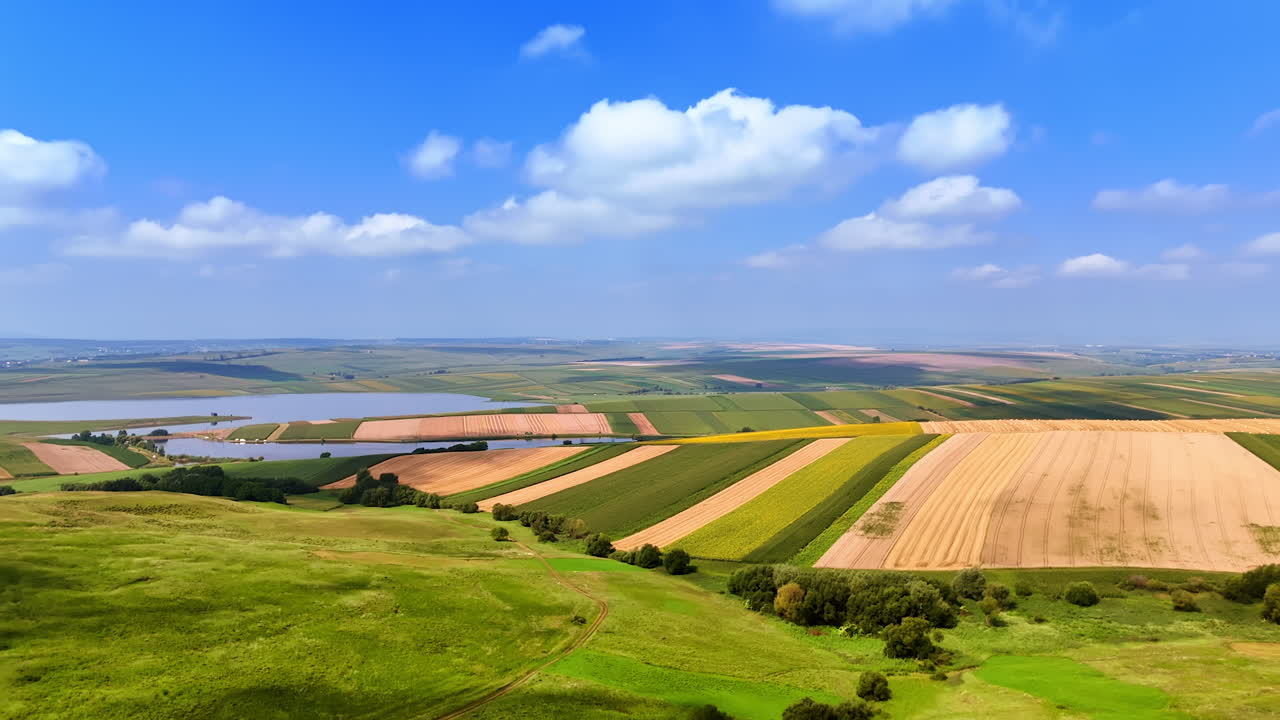 Expansive fields under bright blue sky. Lush green and golden fields stretch across the landscape, bathed in bright sunlight and dotted with clouds
