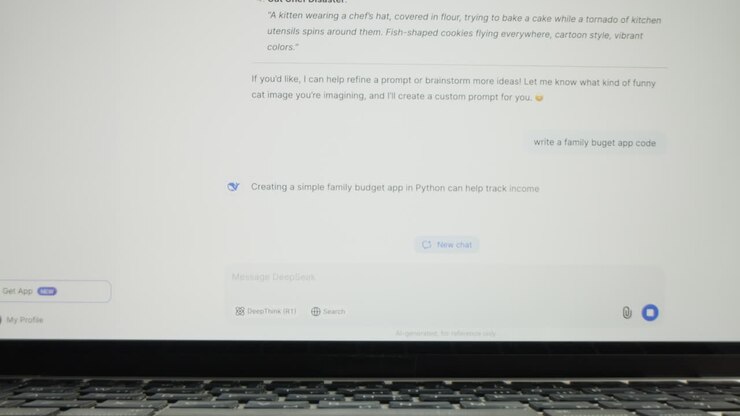 Python Family Budget App Code on Laptop