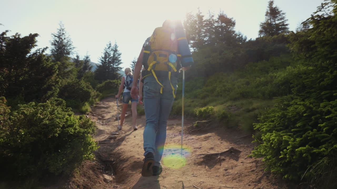 한 무리의 여행자들이 아름다운 산을 배경으로 산으로 올라간다