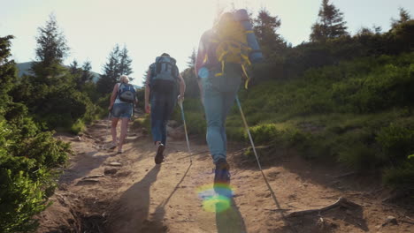 a group of friends of travelers rises to the mountains against the background of a beautiful mountai