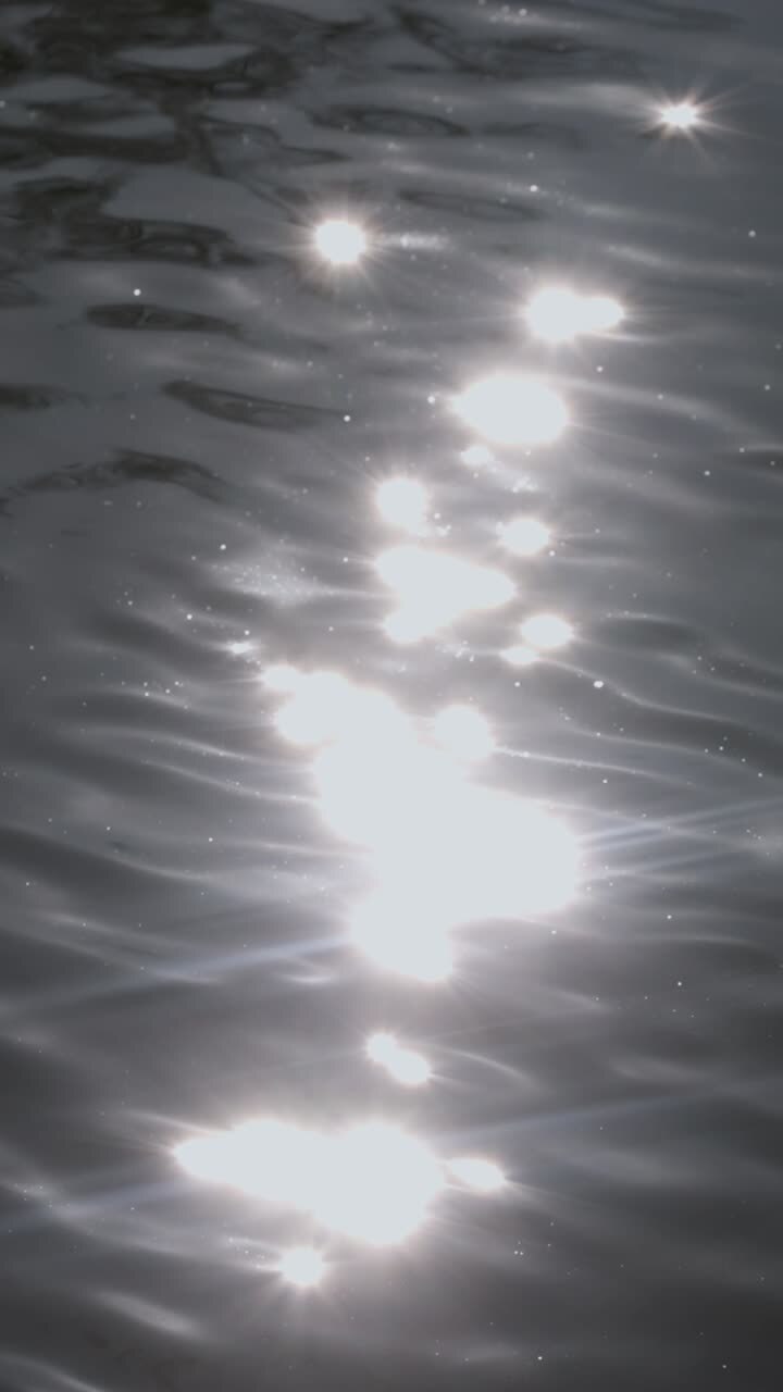Lake in the nature