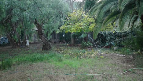 a well-maintained garden with sprinklers