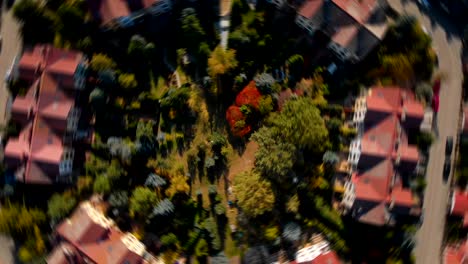 aerial view of suburban houses