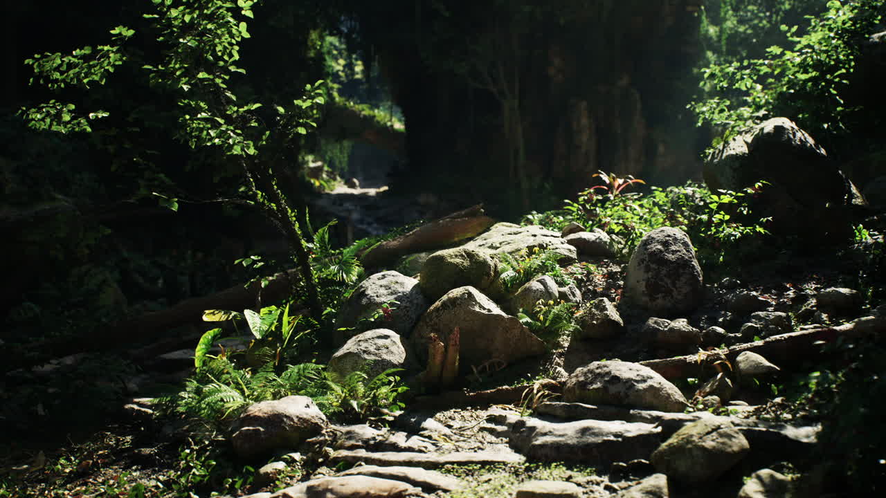 태국의 야생에서 바위와 식물과 함께 울창한 초록색 지형을 탐험합니다.