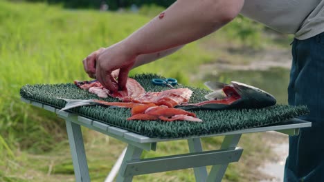 fisherman deboning fresh caught salmon along shoreline with sharp fillet knife