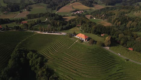 Eine-4K-Drohnenaufnahme-Eines-Ländlichen-Weinbergs-In-Slowenien