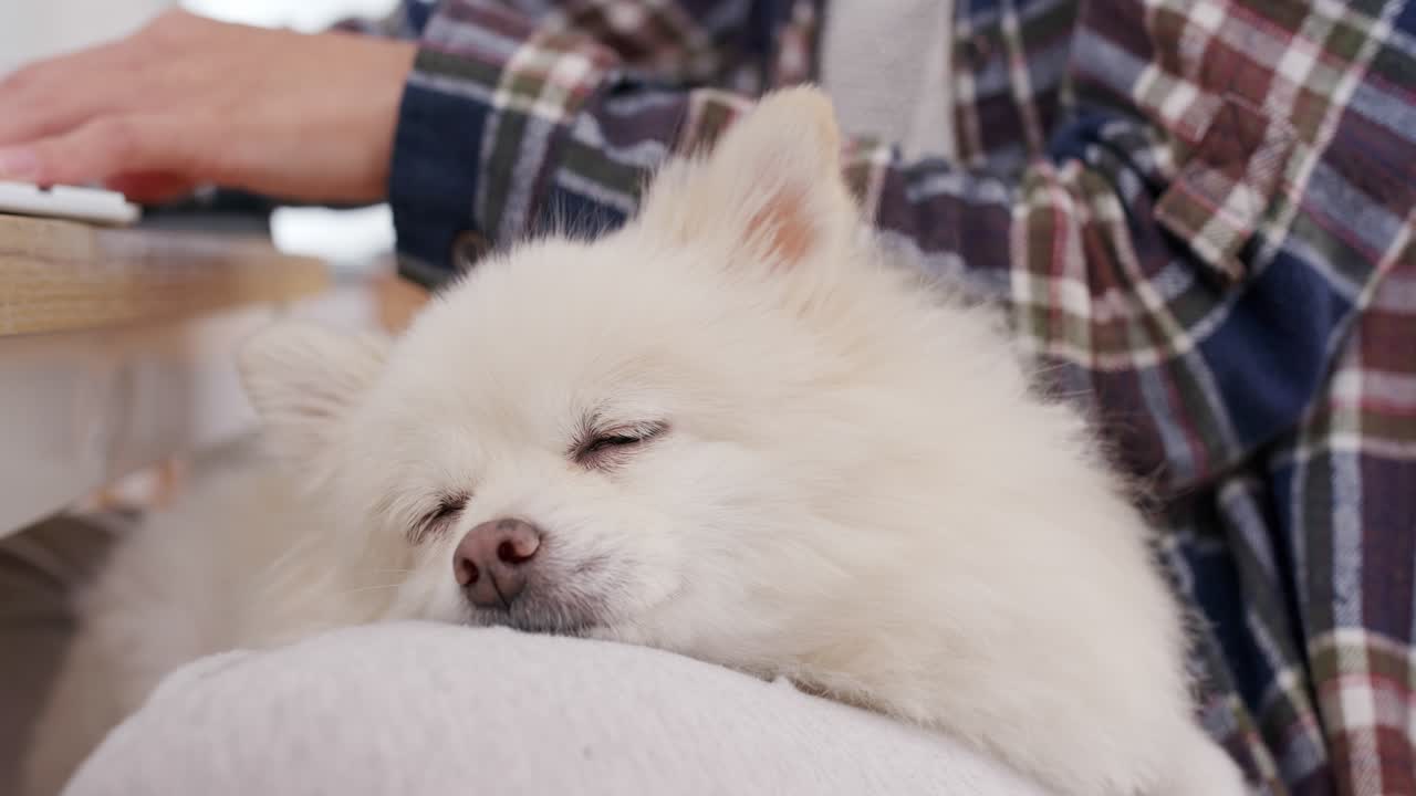 집에 있는 여자와 개