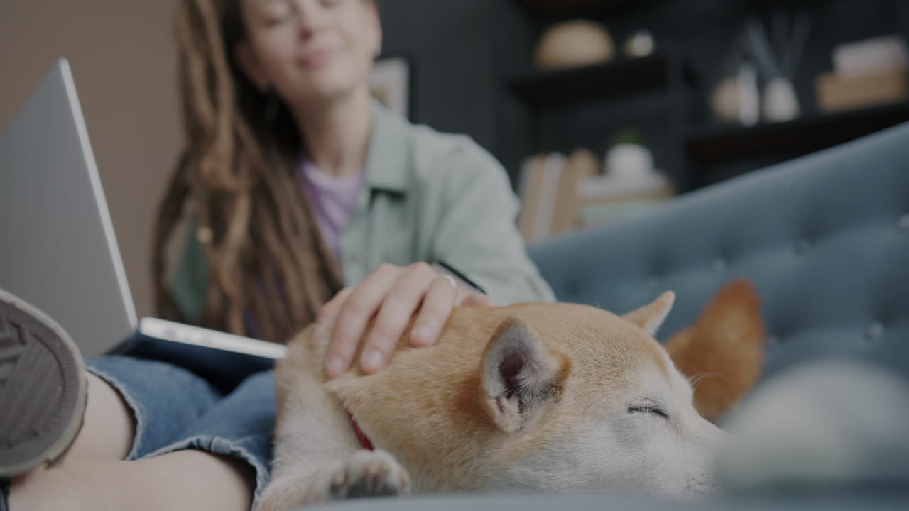 개 와 함께 집 에서 일 하는 여자