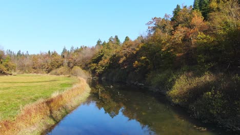 drone flying low along the curves of fresh and silent stream running along dense trees of green forest on a bright sunny day