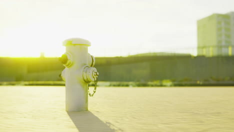 morning light brightens a fire hydrant near a construction site