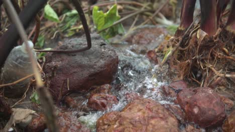 Trash-in-the-nature