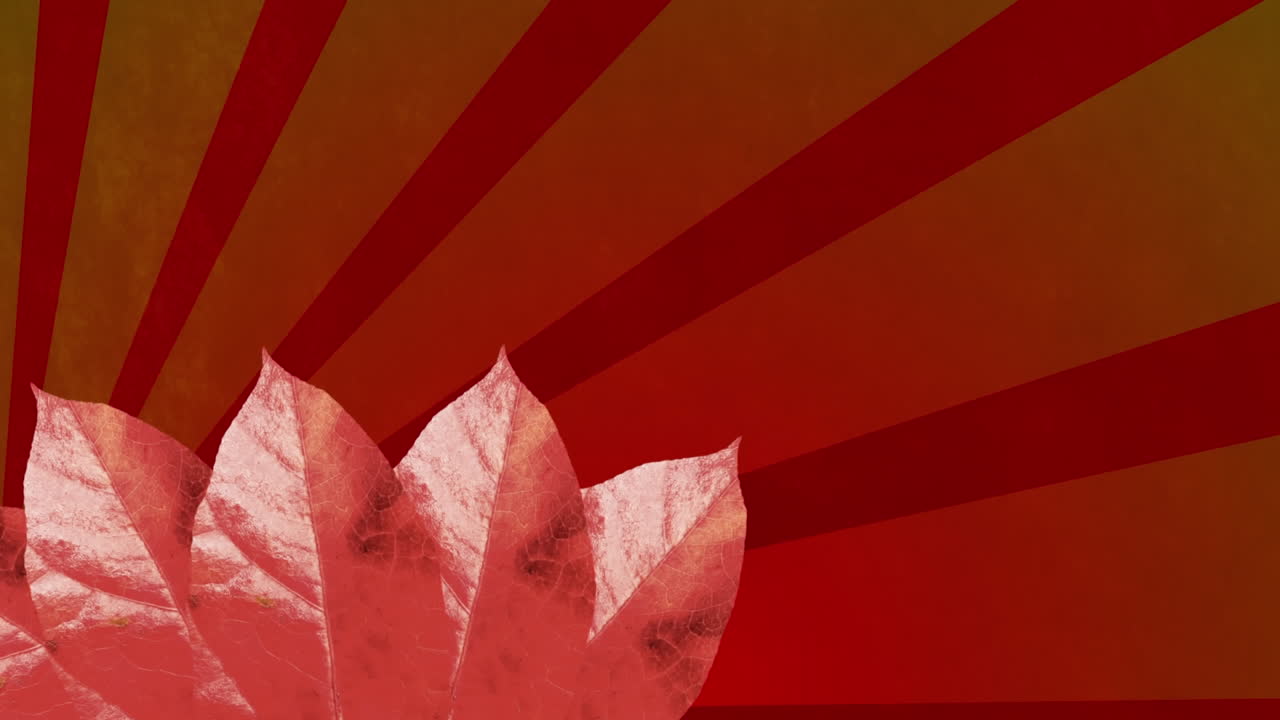 초록색 바탕에 줄무 위에 잎의 애니메이션