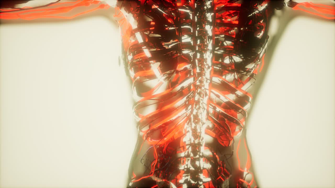 inspección de la sangre en los vasos sanguíneos del sistema circulatorio